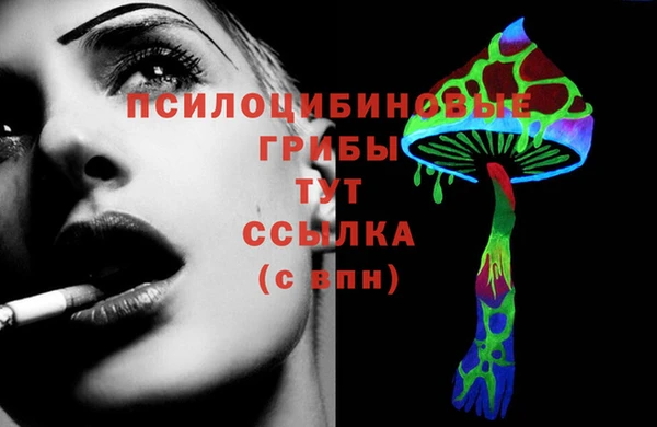 кокаин Белокуриха